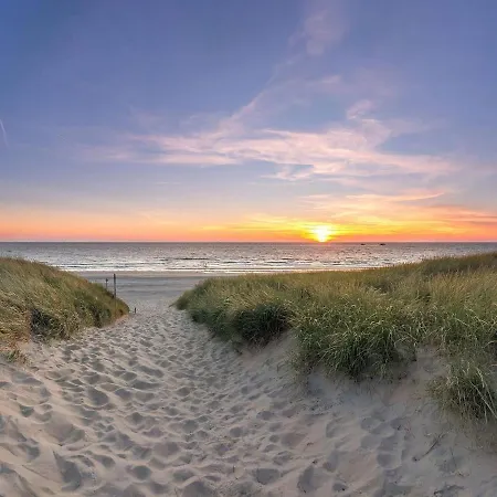 In Texel Near Forest And Sea *