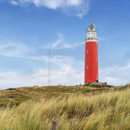 In Texel Near Forest And Sea